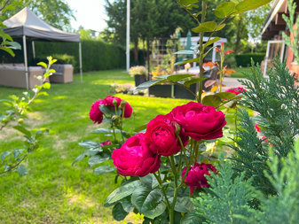 God plads i haven hos Veteranhjem København